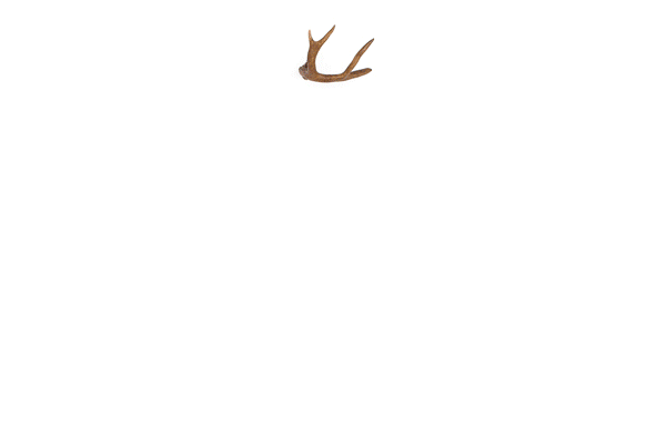 <br /><br /><em>the antler&co. brand   </em>::<em>   hooks made from antlers, what a novel idea<br /><br /><a href="http://www.antlerandco.com/" target="_blank"><u>antlerandco.com</u></a></em>