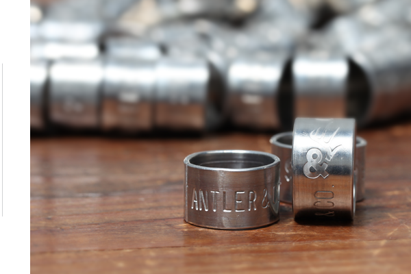 <br /><br /><em>the antler&co. brand   </em>::<em>   hooks made from antlers, what a novel idea</em>