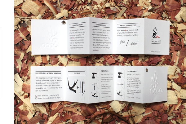 <br /><br /><em>the antler&co. brand   </em>::<em>   hooks made from antlers, what a novel idea<br /></em>