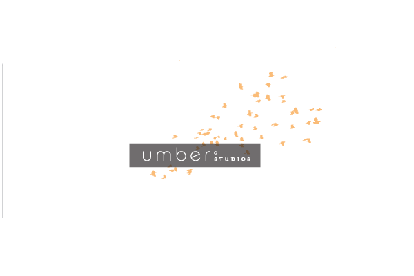 <br /><br /><em>umber studios    </em>::<em>   a gallery and studio i created for artists, by artists</em>