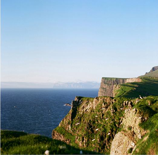 
			<br /><em>Puffins in flight!
			<br /><br /><br /><br />| Mykines Island
			<br /></em>