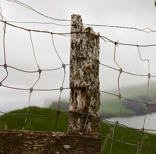 
			<br /><em>
			<br /><br /><br /><br />| Mykines Island
			<br /></em>