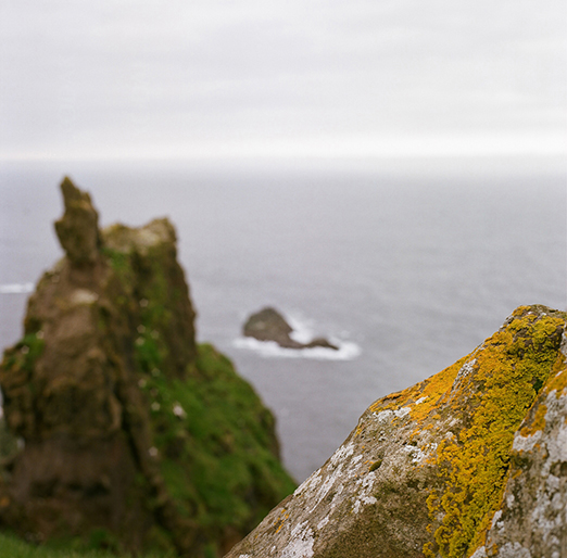 
			<br /><em>Lichen yellow
			<br /><br /><br /><br />| Mykines Island
			<br /></em>