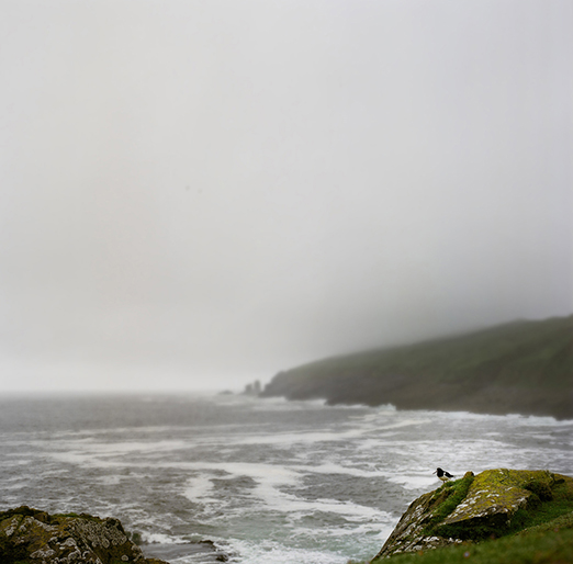 
			<br /><em>Hello Carl
			<br /><br /><br /><br />| Mykines Island
			<br /></em>