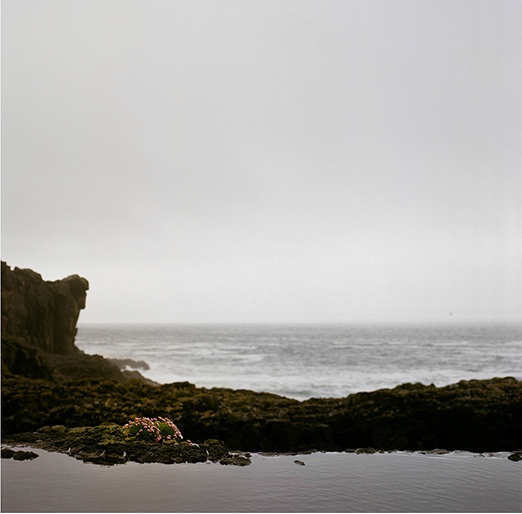 
			<br /><em>Storm + calm
			<br /><br /><br /><br />| Mykines Island
			<br /></em>
