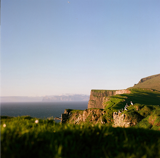 
			<br /><em>Puffins!
			<br /><br /><br /><br />| Mykines Island
			<br /></em>
