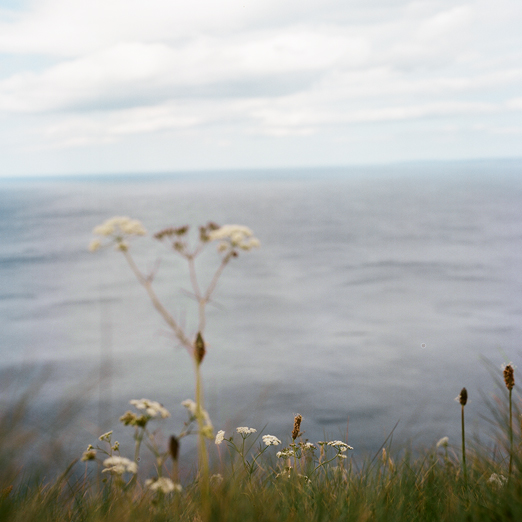 
			<br /><em>cliffs of moher
			<br /><br /><br /><br />
            <br />(county clare / SW)</em>