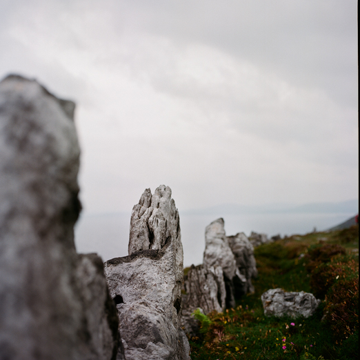 
			<br /><em>the first of a
			<br />thousand stone fences
			<br /><br /><br /><br />
            <br />(county clare / SW)</em>