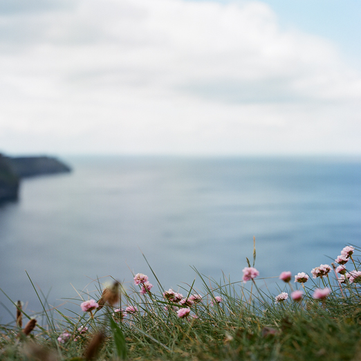 
			<br /><em>cliffs of moher
			<br />
			<br /><br />a perfect place 
            <br />for the first nap in ireland
            <br /><br /><br /><br />
            <br />(county clare / SW)</em>