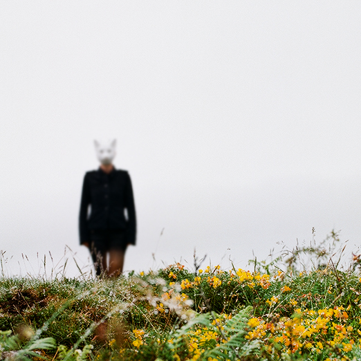 
			<br /><em>i found a fox in ireland
			<br /><br /><br /><br />
            <br />(poulnabrone cliffs, county clare / SW)</em>
