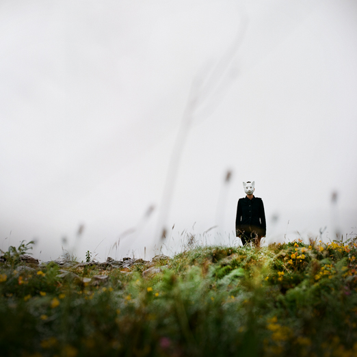 
			<br /><em>she's a beautiful fox,
            <br />this pamela valfer
			<br /><br /><br /><br />
            <br />(poulnabrone cliffs, county clare / SW)</em>