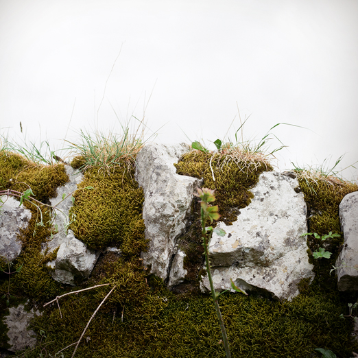 
			<br /><em>stone moss pillows
			<br /><br /><br /><br />
            <br />(county clare / SW)</em>