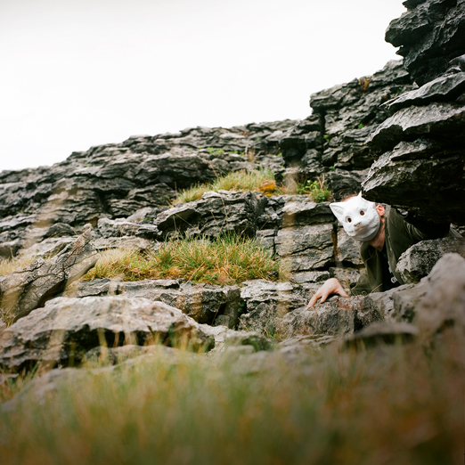 
			<br /><em>fox lair
			<br /><br /><br /><br />
            <br />(poulnabrone cliffs, county clare / SW)</em>