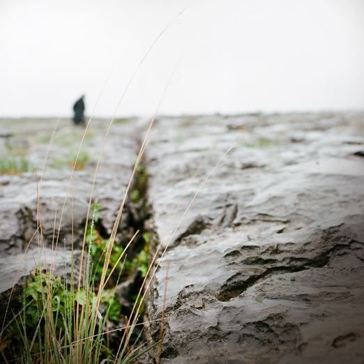 
			<br /><em>faultlines and figures
			<br /><br /><br /><br />
            <br />(poulnabrone cliffs, county clare / SW)</em>