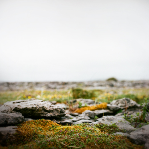 
			<br /><em>if i were smaller, 
            <br />i would sleep right here
			<br /><br /><br /><br />
            <br />(poulnabrone cliffs, county clare / SW)</em>