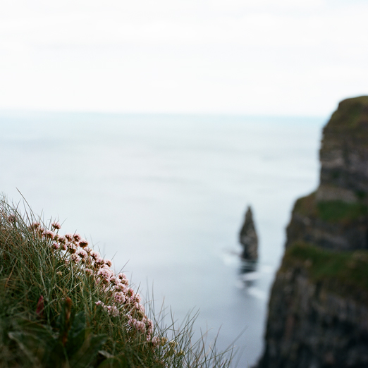 
			<br /><em>cliffs of moher
            <br /><br /><br /><br />
            <br />(county clare / SW)</em>