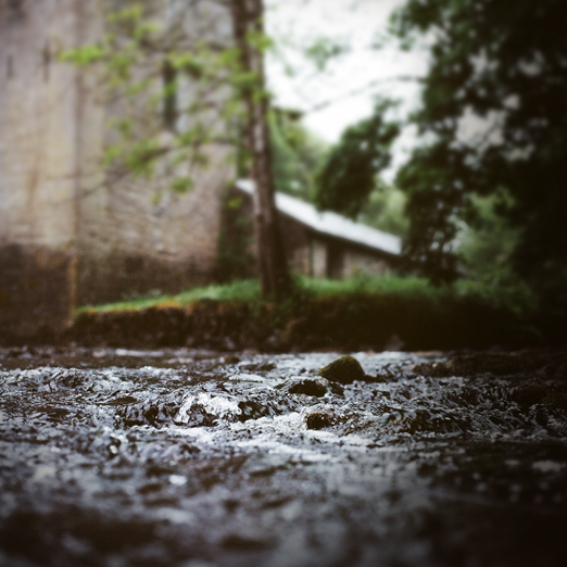 
			<br /><em>thoor ballylee, yeat's home
			<br />from lady gregory
			<br /><br /><br /><br />
            <br />(county galway / SW)</em>