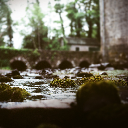 
			<br /><em>in this creek are treasures
			<br /><br /><br /><br />
            <br />(county galway / SW)</em>