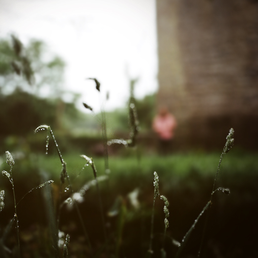 
			<br /><em>everything is so beautiful 
            <br />that to go elsewhere 
            <br />is to leave beauty behind
            <br /><br />- william butler yeats
			<br /><br /><br /><br />
            <br />(county galway / SW)</em>