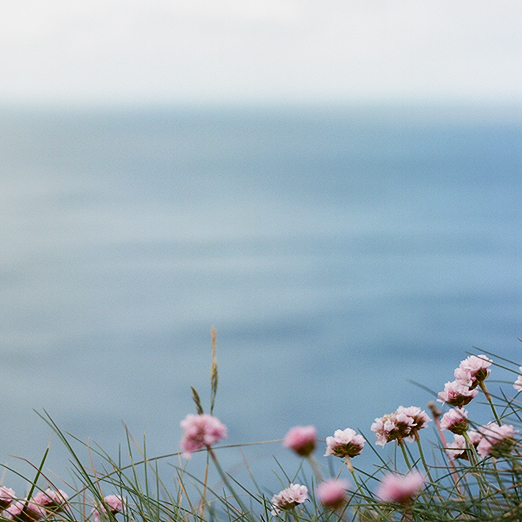 
			<br /><em>bits of pink
            <br />near grey ocean
			<br /><br /><br /><br />
            <br />(county clare / SW)</em>