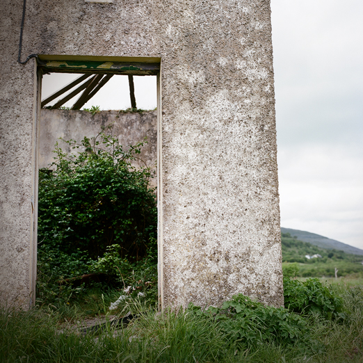 
			<br /><em>indoor garden
			<br /><br /><br /><br />
            <br />(county clare / SW)</em>