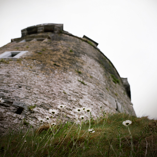 
			<br /><em>the burren college of art
			<br />
			<br /><br />art, in a castle 
            <br />(how perfect)
            <br /><br /><br /><br />
            <br />(county clare / SW)</em>