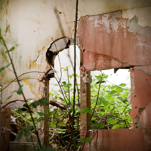 
			<br /><em>overgrown and falling down
			<br /><br /><br /><br />
            <br />(county clare / SW)</em>