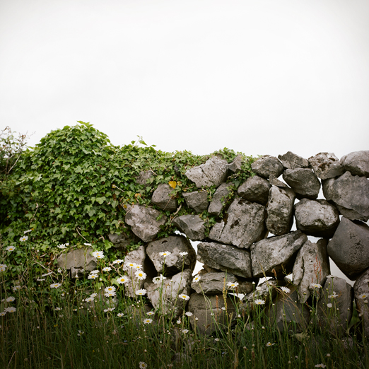 
			<br /><em>daisy wall
			<br /><br /><br /><br />
            <br />(county clare / SW)</em>