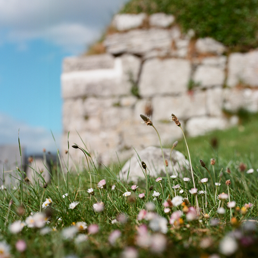 
			<br /><em>bishops's quarter
            <br />where we all wish to be buried
			<br /><br /><br /><br />
            <br />(county clare / SW)</em>