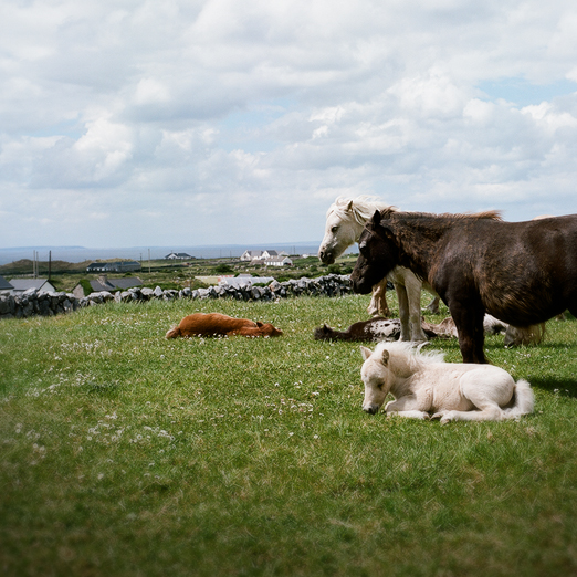 
			<br /><em>muma's and bebos
			<br /><br /><br /><br />
            <br />(county clare / SW)</em>