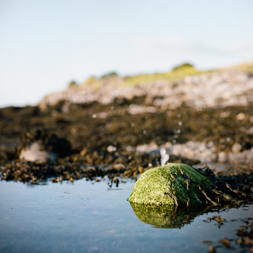 
			<br /><em>first irish sunset
			<br /><br /><br /><br />
            <br />(ballyvaughan, county clare / SW)</em>