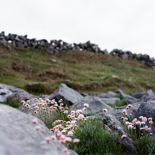 
			<br /><em>fanore beach picnic
			<br /><br /><br /><br />
            <br />(fanore beach, county clare / SW)</em>