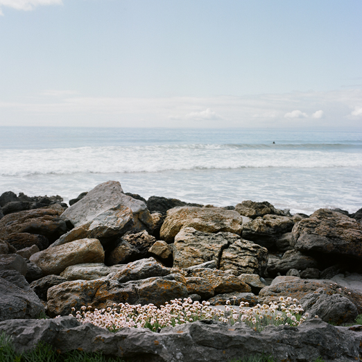 
			<br /><em>where clover 
            <br />grows from rock
			<br /><br /><br /><br />
            <br />(fanore beach, county clare / SW)</em>