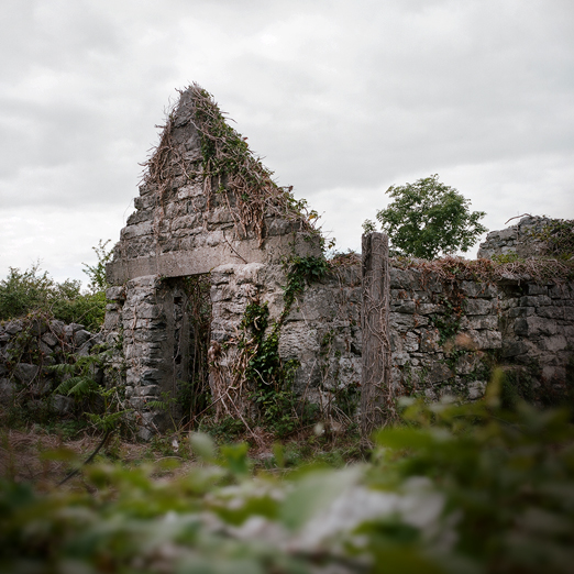 
			<br /><em>playhouse
			<br /><br /><br /><br />
			<br />(county clare / SW)</em>