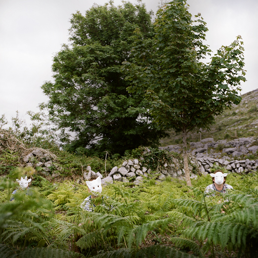 
			<br /><em>masks and ferns
            <br />
            <br /><br />i was hoping 
            <br />this would be more ominous
            <br />but it makes me smile
			<br /><br /><br /><br />
			<br />(county clare / SW)</em>