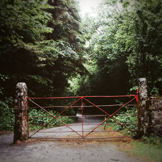
			<br /><em>lost in coole park
			<br /><br /><br /><br />
			<br />(coole park, county galway / SW)</em>
