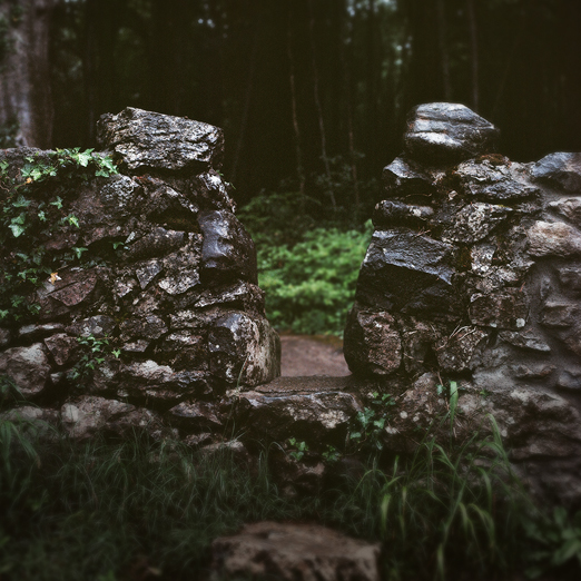 
			<br /><em>yeats passed through here
            <br />certainly
			<br /><br /><br /><br />
			<br />(coole park, county galway / SW)</em>