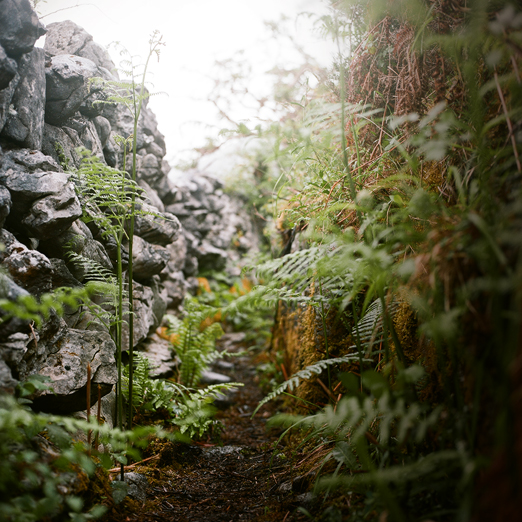 
			<br /><em>hiking the burren
            <br /><above fanore beach
			<br /><br /><br /><br />
            <br />(county clare / SW)</em>
