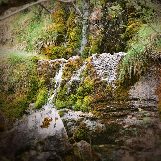 
			<br /><em>words in the moss
			<br /><br /><br /><br />
            <br />(county clare / SW)</em>