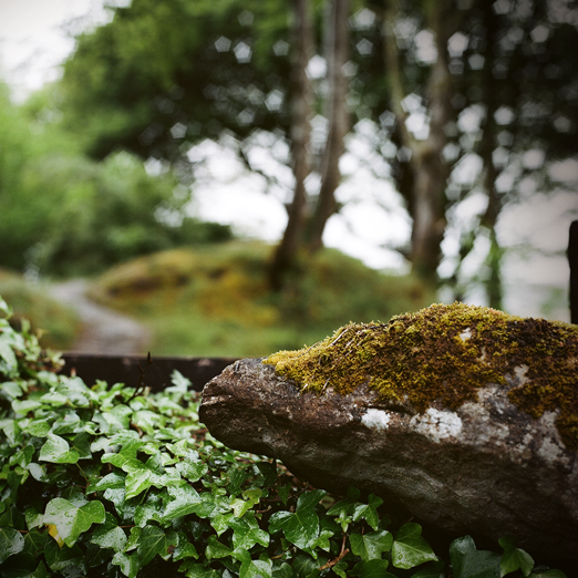 
			<br /><em>hopping fences 
            <br />skipping stones
			<br /><br /><br /><br />
            <br />(county clare / SW)</em>