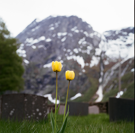 
			<br /><em>me + you.
            <br />
			<br />
            <br />
            <br />andalsnes / W</em>