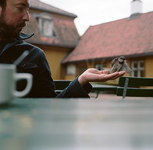 
			<br /><em>brave little things.
            <br />
			<br />
            <br />
            <br />oslo / SE</em>