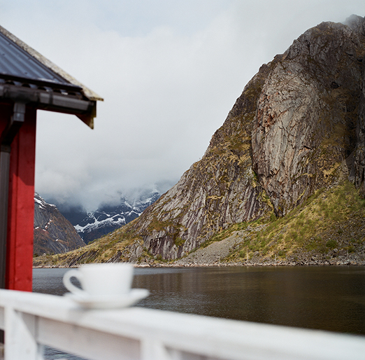 
			<br /><em>tea views.
            <br />
			<br />
            <br />
            <br />lofoten, reine / artic circle</em>