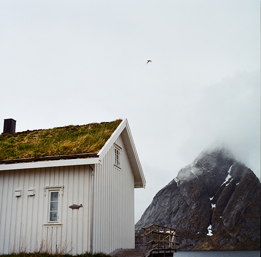
			<br /><em>turf roof with a view.
            <br />
			<br />
            <br />
            <br />lofoten / artic circle</em>