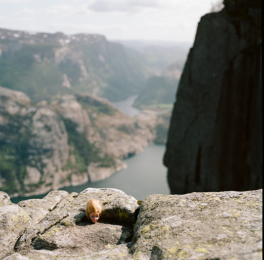 
			<br /><em>this barbie head's been everywhere.
            <br />
			<br />
            <br />
            <br />preikestolen / SW</em>