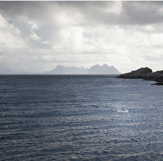 
           	<br /><em>
            <br />
			<br />
            <br />
            <br />lofoten / artic circle</em>