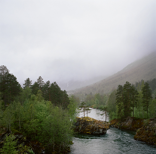 
			<br /><em>
            <br />
			<br />
            <br />
            <br />valldal / W</em>
