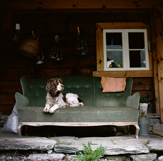 
			<br /><em>hello lucie.
            <br />
			<br />
            <br />
            <br />valldal / W</em>