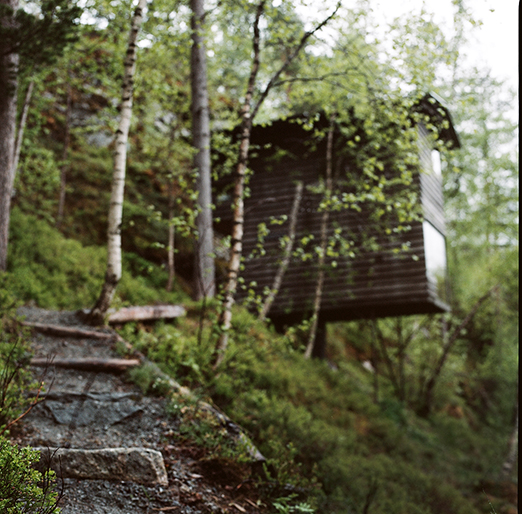 
			<br /><em>treehouse pod.
            <br />
			<br />
            <br />
            <br />valldal / W</em>