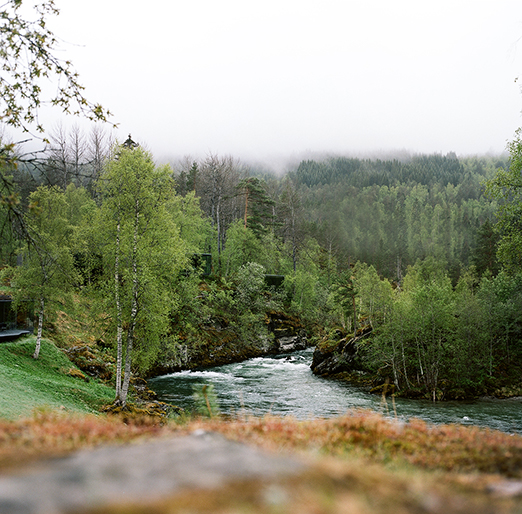 
			<br /><em>spot the landscape pods tucked away...
            <br />
			<br />
            <br />
            <br />valldal / W</em>